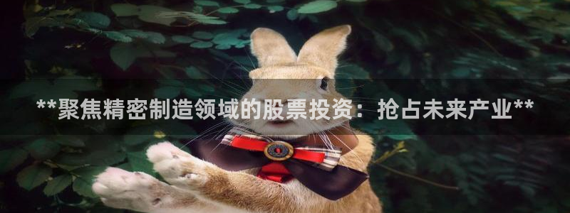 彩神ix平台：**聚焦精密制造领域的股票投资：抢占未来产业**