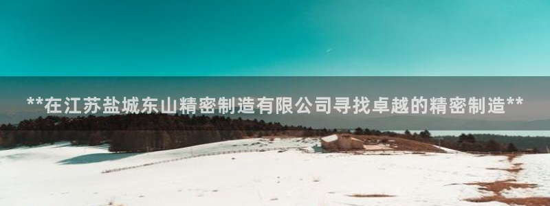 彩神v争霸是啥：**在江苏盐城东山精密制造有限公司寻找卓越的精密制造**