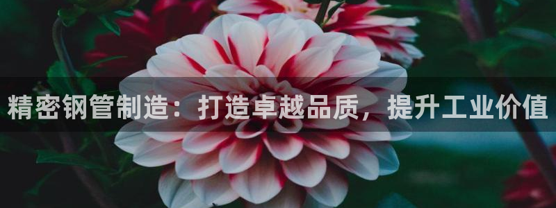 彩神8彩平台：精密钢管制造：打造卓越品质，提升工业价值