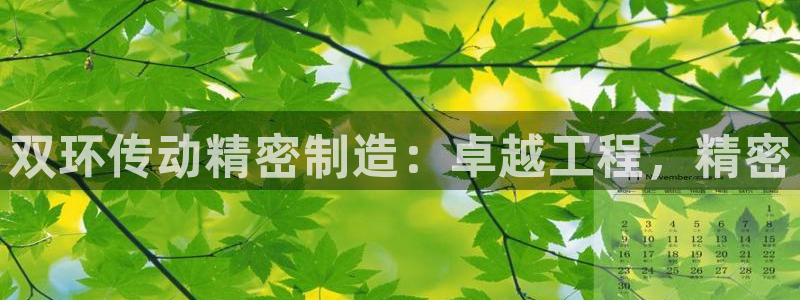 彩神平台：双环传动精密制造：卓越工程，精密