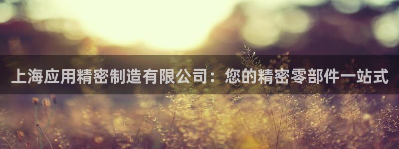 彩神旗下有哪些平台可以玩：上海应用精密制造有限公司：您的精密零部件一站式