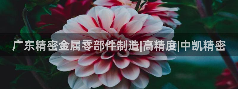 彩神vii购彩l心：广东精密金属零部件制造|高精度|中凯精密