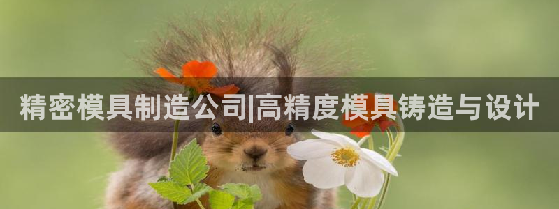 彩神平台：精密模具制造公司|高精度模具铸造与设计