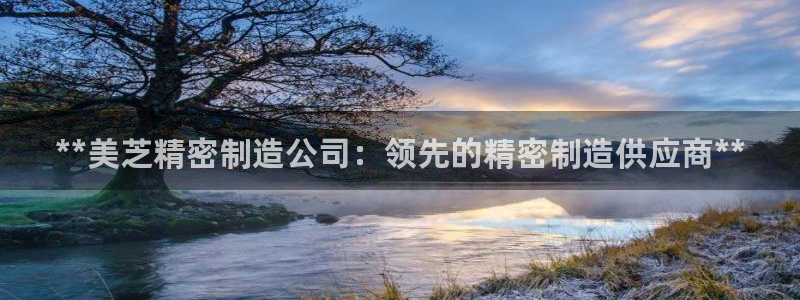 彩神xapp官方网站：**美芝精密制造公司：领先的精密制造供应商**