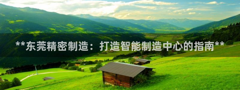 彩神通官网下载：**东莞精密制造：打造智能制造中心的指南**