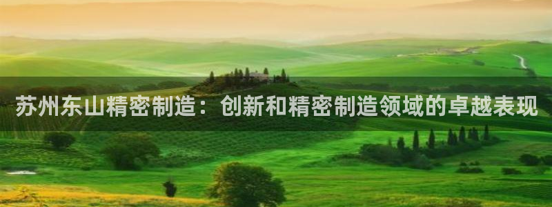 彩神V集团公司：苏州东山精密制造：创新和精密制造领域的卓越表现