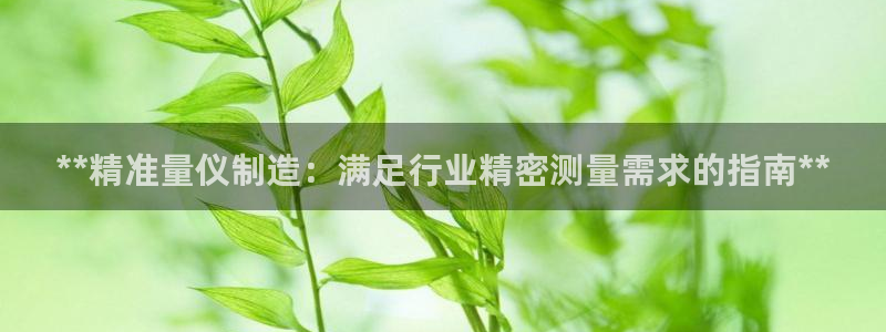 彩神ix是真的吗：**精准量仪制造：满足行业精密测量需求的指南**
