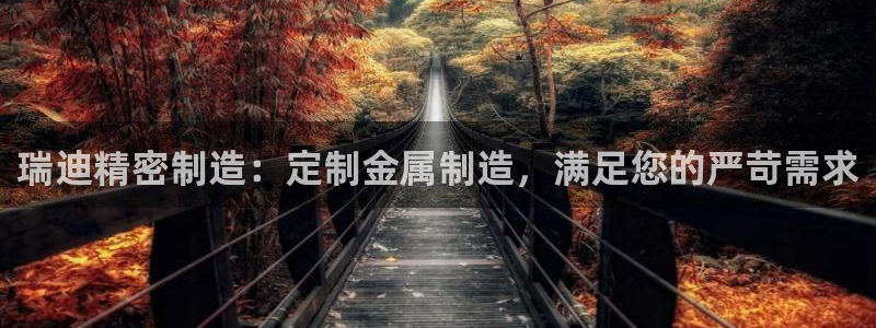 彩神v8iii：瑞迪精密制造：定制金属制造，满足您的严苛需求