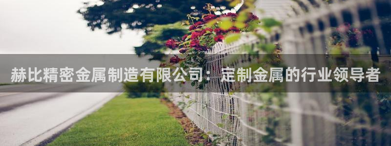 彩神争霸官方下载2017：赫比精密金属制造有限公司：定制金属的行业领导者