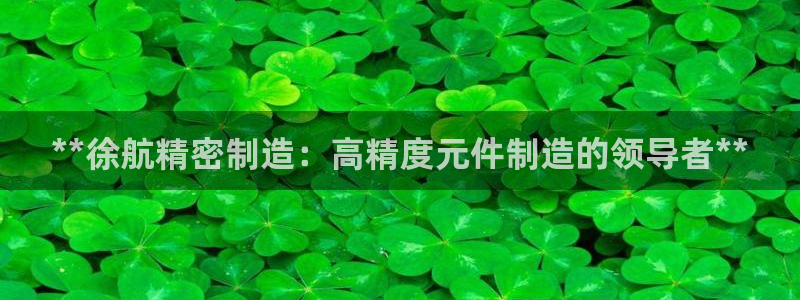 天天赢彩神：**徐航精密制造：高精度元件制造的领导者**