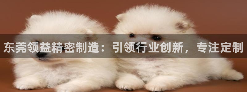 彩神v8有多久了?靠谱吗：东莞领益精密制造：引领行业创新，专注定制