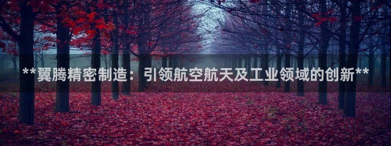 彩神app赚钱是真是假：**翼腾精密制造：引领航空航天及工业领域的创新**