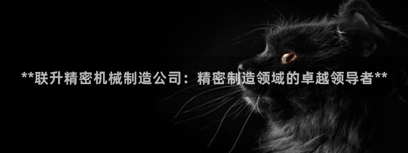 彩神v8手机客户端：**联升精密机械制造公司：精密制造领域的卓越领导者**