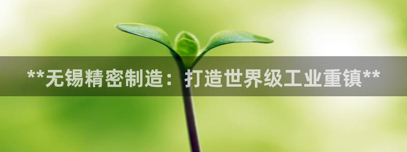 彩神是怎样一个平台赚钱的：**无锡精密制造：打造世界级工业重镇**