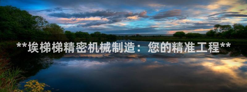 彩神v：**埃梯梯精密机械制造：您的精准工程**