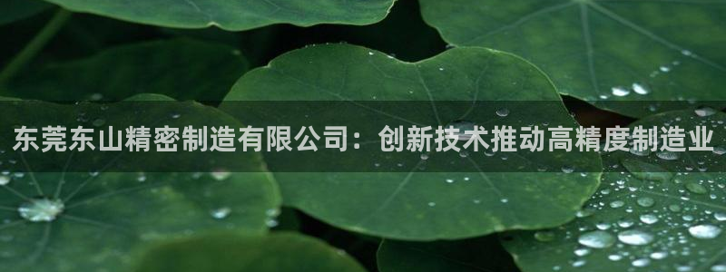 彩神v平台：东莞东山精密制造有限公司：创新技术推动高精度制造业