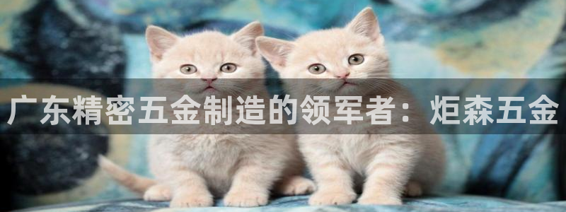 彩神vip购彩大厅在哪：广东精密五金制造的领军者：炬森五金