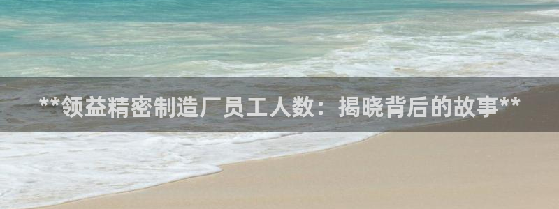 彩神购彩-购彩大厅入口老版：**领益精密制造厂员工人数：揭晓背后的故事**