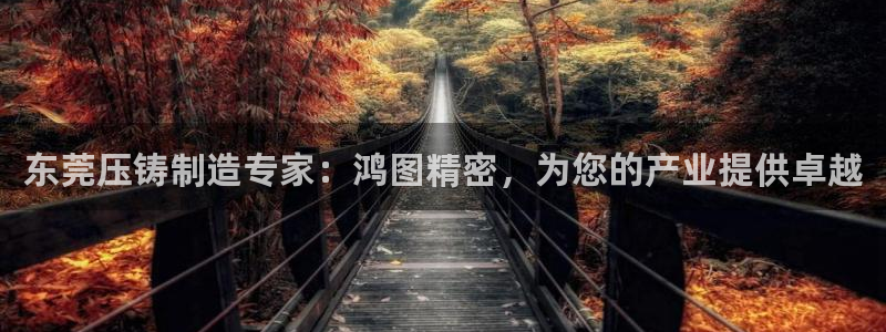 彩神客服电话：东莞压铸制造专家：鸿图精密，为您的产业提供卓越
