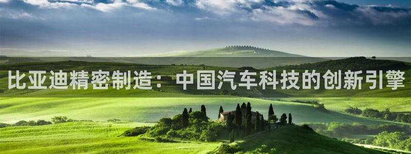 彩神vll首页：比亚迪精密制造：中国汽车科技的创新引擎