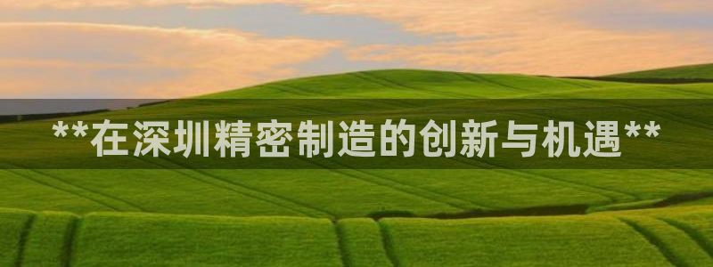 彩神v8app：**在深圳精密制造的创新与机遇**
