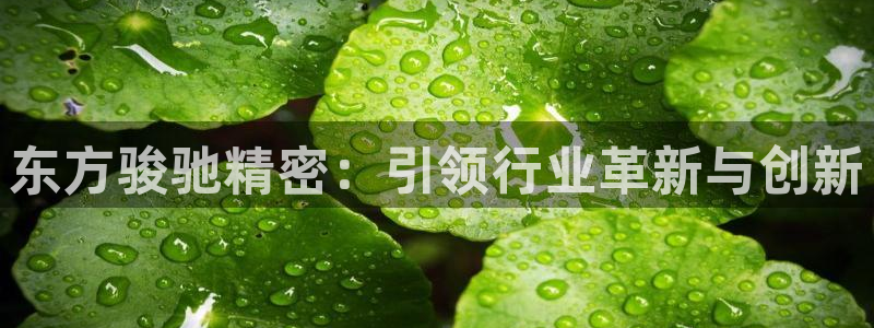 彩神vll首页企业文化：东方骏驰精密：引领行业革新与创新