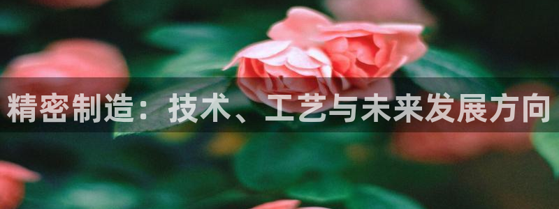 下载彩神通关注金码：精密制造：技术、工艺与未来发展方向