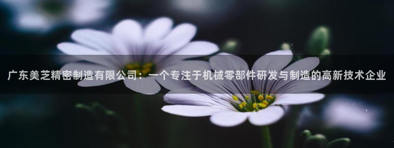 彩神骗局：广东美芝精密制造有限公司：一个专注于机械零部件研发与制造的高新技术企业