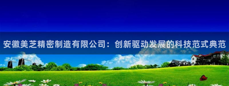 彩神平台是什么套路：安徽美芝精密制造有限公司：创新驱动发展的科技范式典范