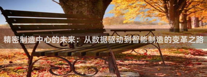 彩神8彩平台客服：精密制造中心的未来：从数据驱动到智能制造的变革之路