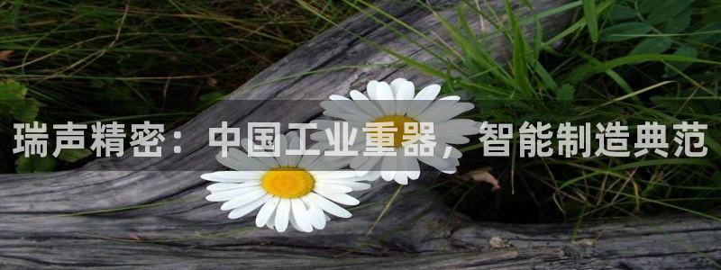 彩神争霸官方下载：瑞声精密：中国工业重器，智能制造典范