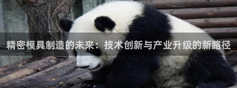 彩神到底能不能赚钱：精密模具制造的未来：技术创新与产业升级的新路径