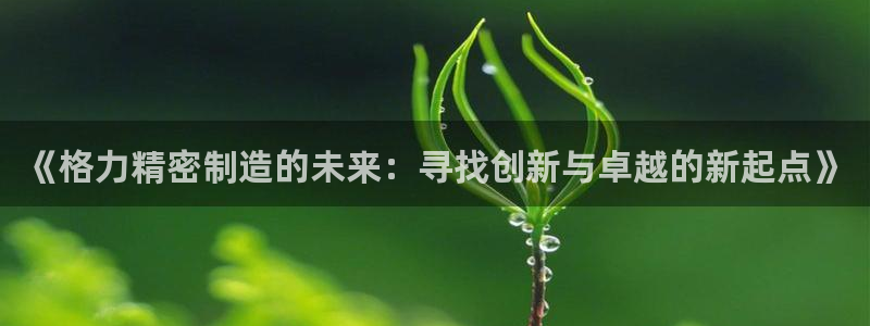 彩神是正规平台吗是真的吗：《格力精密制造的未来：寻找创新与卓越的新起点》
