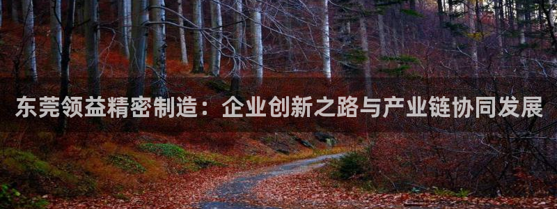 彩神v8是一个什么平台：东莞领益精密制造：企业创新之路与产业链协同发展