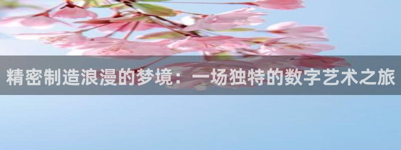 在彩神网输了六万多怎么拿回来：精密制造浪漫的梦境：一场独特的数字艺术之旅