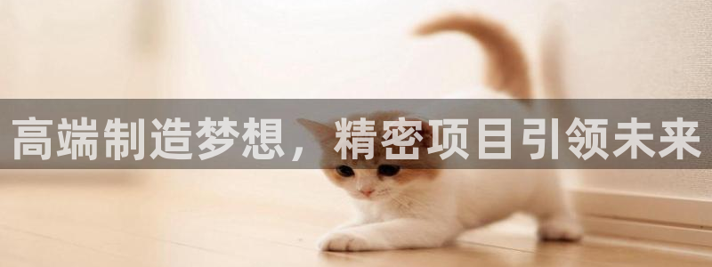 彩神vll首页企业文化：高端制造梦想，精密项目引领未来