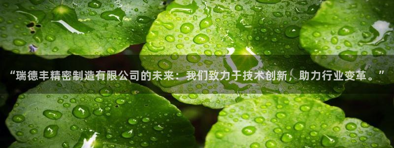 彩神输的钱是赌博还是诈骗：“瑞德丰精密制造有限公司的未来：我们致力于技术创新，助力行业变革。”