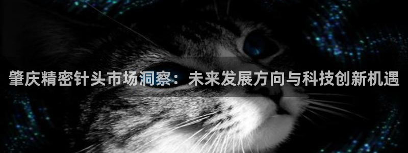 彩神v8iii：肇庆精密针头市场洞察：未来发展方向与科技创新机遇