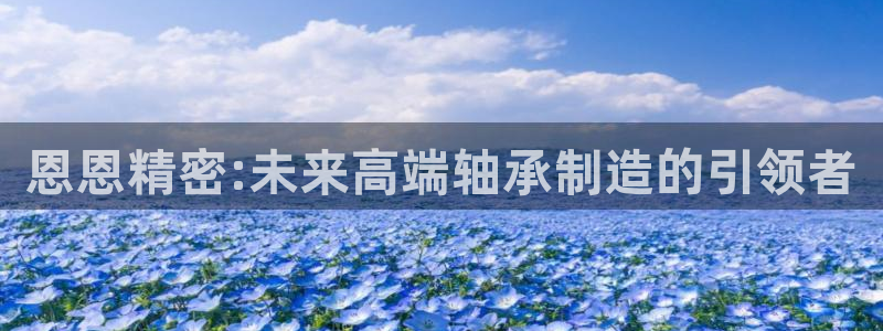 彩神v8下载：恩恩精密:未来高端轴承制造的引领者