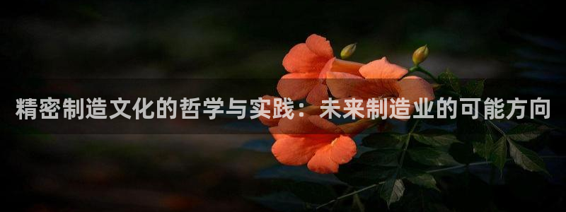 彩神VI首页：精密制造文化的哲学与实践：未来制造业的可能方向