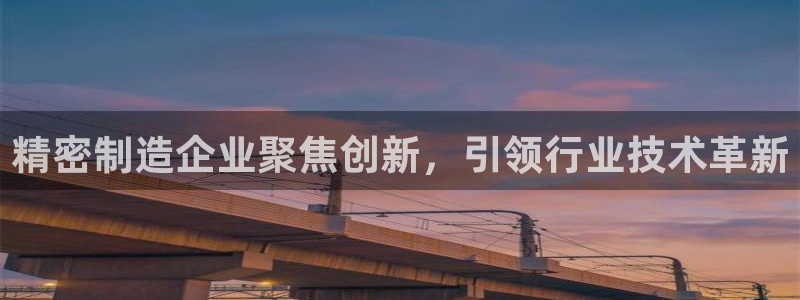 彩神vip购彩大厅下载：精密制造企业聚焦创新，引领行业技术革新
