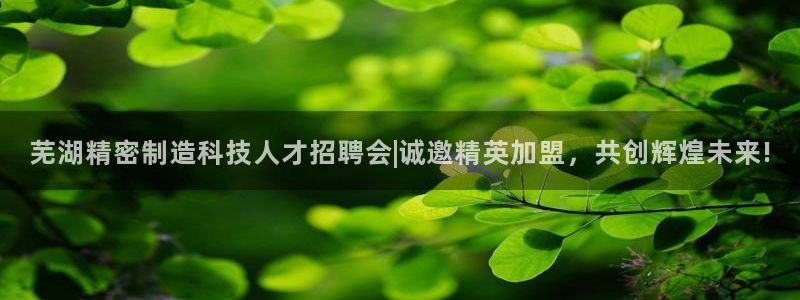 彩神是怎样一个平台：芜湖精密制造科技人才招聘会|诚邀精英加盟，共创辉煌未来!