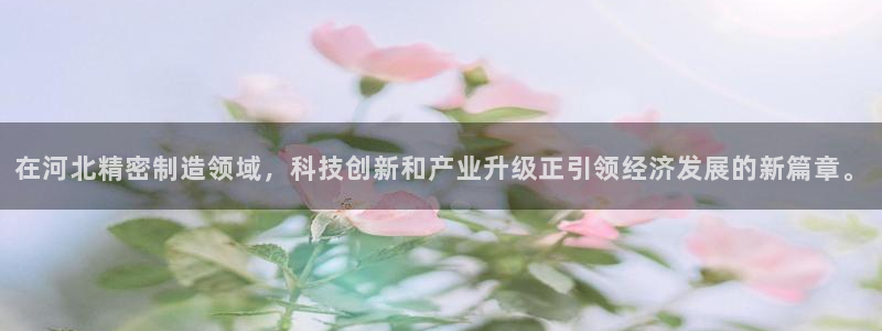 彩神8官网版是正规的吗：在河北精密制造领域，科技创新和产业升级正引领经济发展的新篇章。