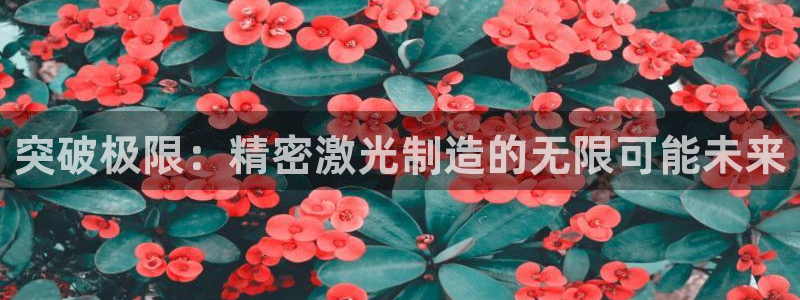 彩神ⅴll是什么样平台：突破极限：精密激光制造的无限可能未来