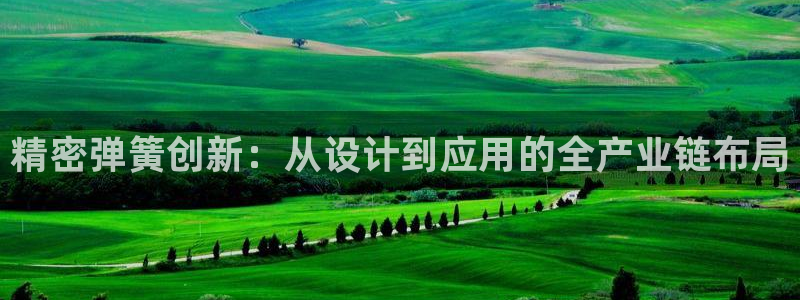 彩神是什么平台的游戏：精密弹簧创新：从设计到应用的全产业链布局