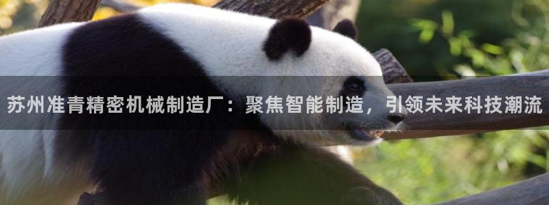 彩神旗下有哪些平台：