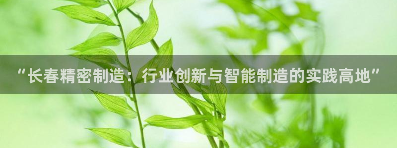 彩神可以提现吗：“长春精密制造：行业创新与智能制造的实践高地”