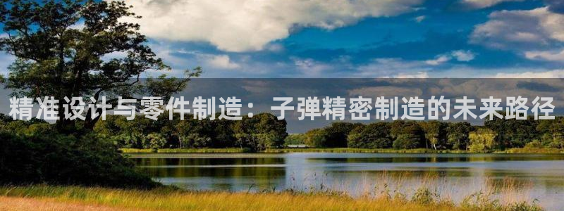 彩神是真的吗：精准设