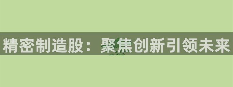 彩神怎么才能赢：精密制造股：聚焦创新引领未来