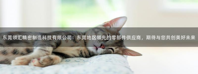 所有彩神购买首页都一样吗：东莞领汇精密制造科技有限公司：东莞地区领先的零部件供应商，期待与您共创美好未来